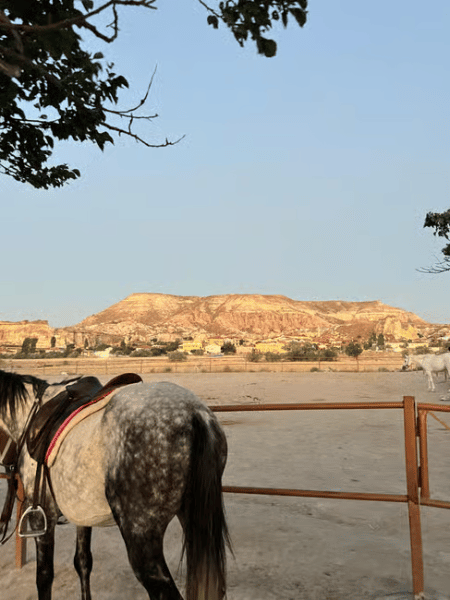 Horse Back Riding Tour In Rose Valley with Fairy Chimneys | ®ExcursionMania - Image 1