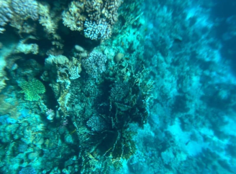 Excursion to Ras Mohammed Sharm El Sheikh by bus | ®ExcursionMania - Image 1