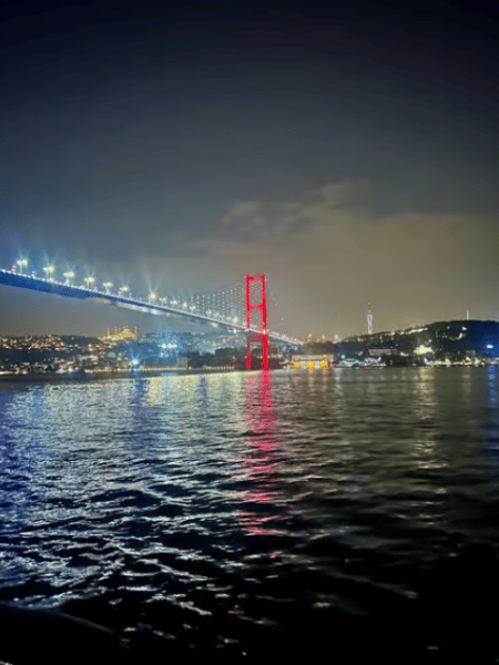 Istanbul: Bosphorus Dinner Cruise with Hotel Transfers | ®ExcursionMania - Image 4