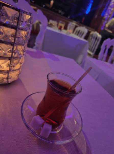 Istanbul Enchanting Bosphorus Cruise with Optional Meal | ®ExcursionMania - Image 4