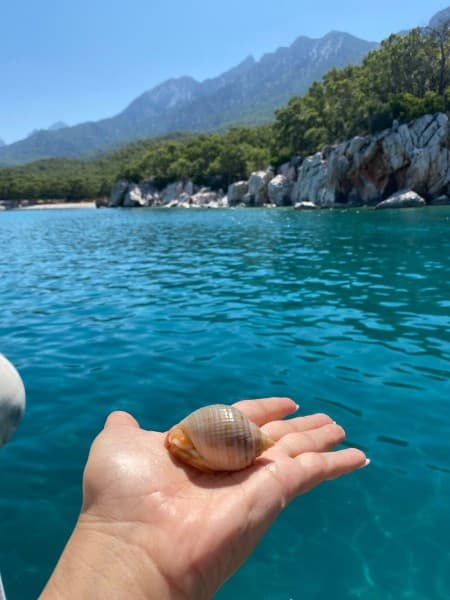 Antalya Scuba Diving Experience Lunch, 2 Dives & Pickup | ®ExcursionMania - Image 1