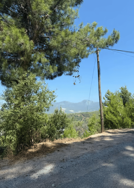 From Alanya: Sapadere Canyon Tour with Lunch | ®ExcursionMania - Image 2