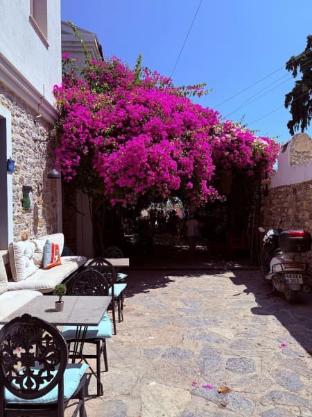 Marmaris: Datca Tour  W/ Lunch & Hotel Pickup Service | ®ExcursionMania - Image 4