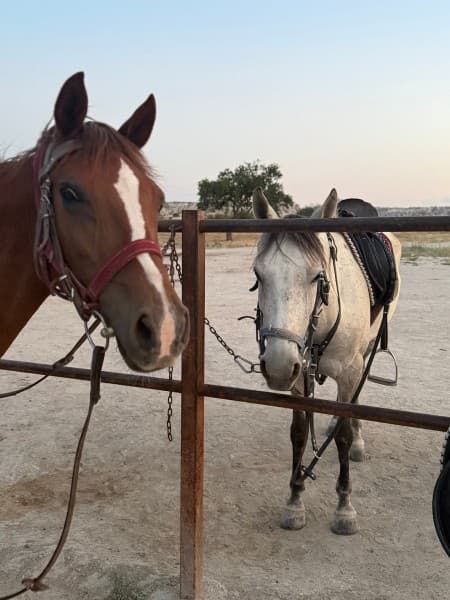 Horseback Adventure Through Cappadocias Timeless Landscapes | ®ExcursionMania - Image 1