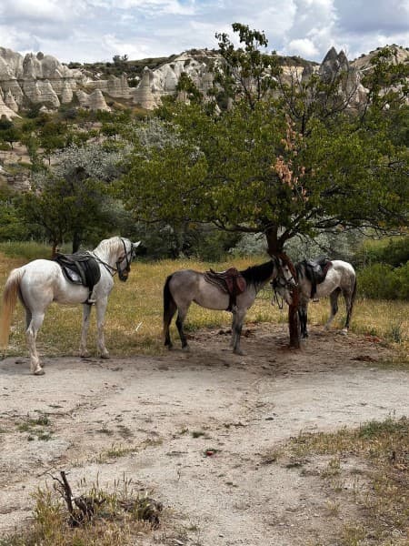 Horseback Adventure Through Cappadocias Timeless Landscapes | ®ExcursionMania - Image 2