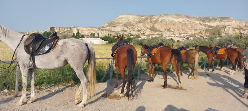 Horseback Adventure Through Cappadocias Timeless Landscapes | ®ExcursionMania - Image 3