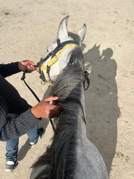 Horseback Adventure Through Cappadocias Timeless Landscapes | ®ExcursionMania