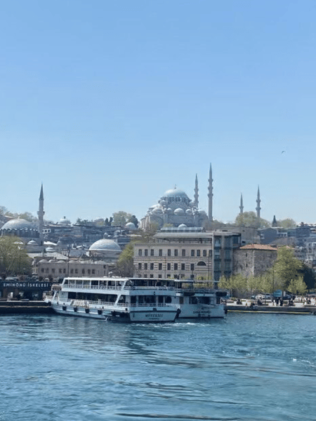 Istanbul Discovery: 1, 2, or 3-Day Private Guided Experience | ®ExcursionMania