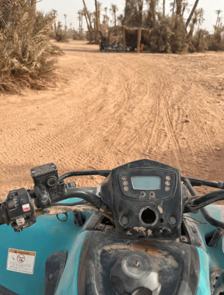 Marrakech Quad Bike Experience: Desert and Palmeraie | ®ExcursionMania - Image 2