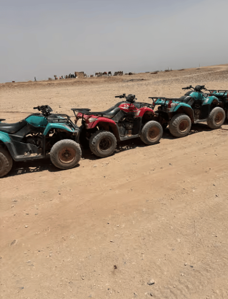 Marrakech Quad Bike Experience: Desert and Palmeraie | ®ExcursionMania - Image 4