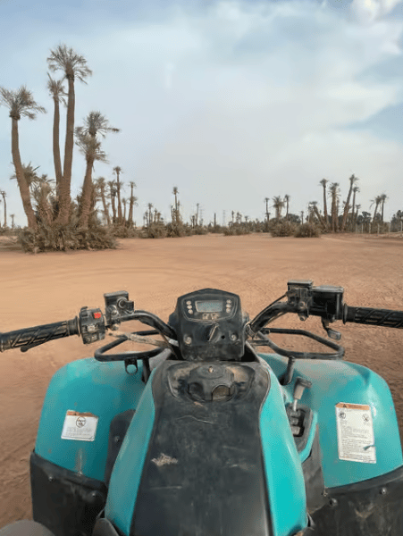 Marrakech Quad Bike Experience: Desert and Palmeraie | ®ExcursionMania