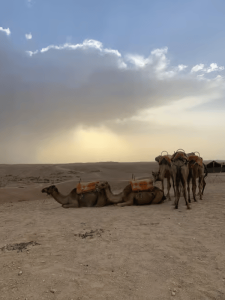 Agafay Desert Adventure: Quad Biking Camel Ride & Dinner | ®ExcursionMania - Image 1