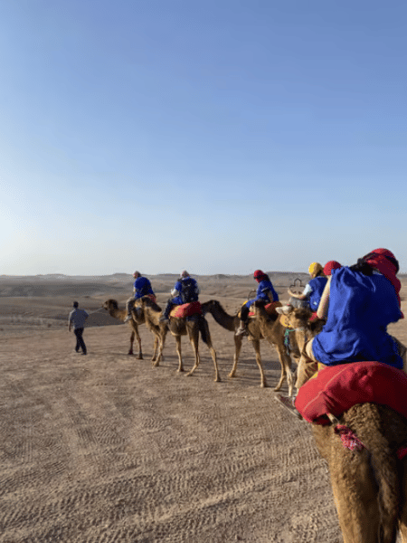 Agafay Desert Adventure: Quad Biking Camel Ride & Dinner | ®ExcursionMania