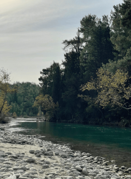 Side/Antalya: Combo Tour with Jeep, Buggy, Rafting & Zipline | ®ExcursionMania - Image 4