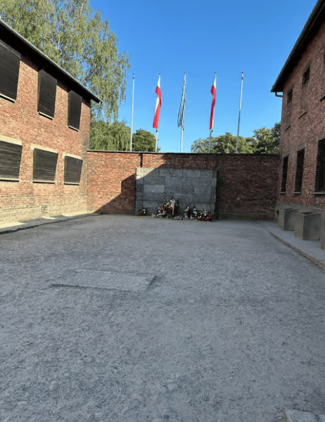 Auschwitz-Birkenau: Skip-the-Line Guided Tour from Krakow | ®ExcursionMania - Image 1