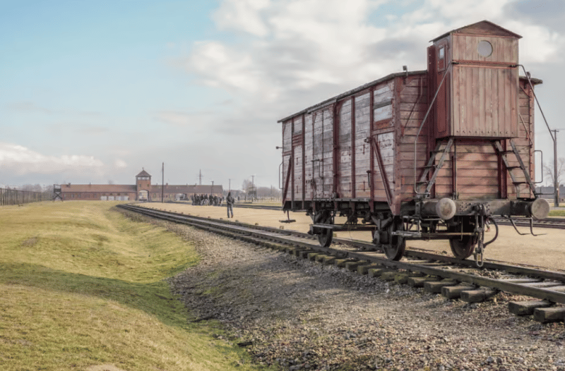 Auschwitz-Birkenau: Skip-the-Line Guided Tour from Krakow | ®ExcursionMania - Image 3