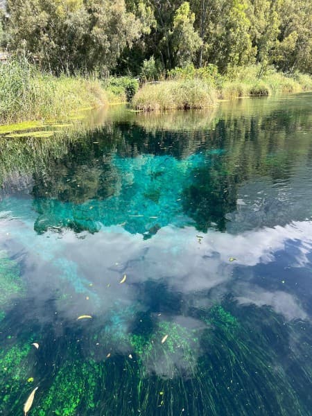 Marmaris: Yuvarlakçay & Akyaka River Cruise with Lunch | ®ExcursionMania - Image 2