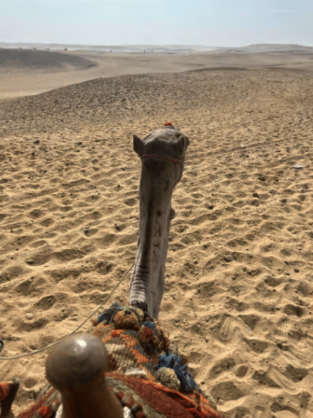 Cairo: Pyramids Quad Bike Adventure & Optional Camel Ride | ®ExcursionMania - Image 2