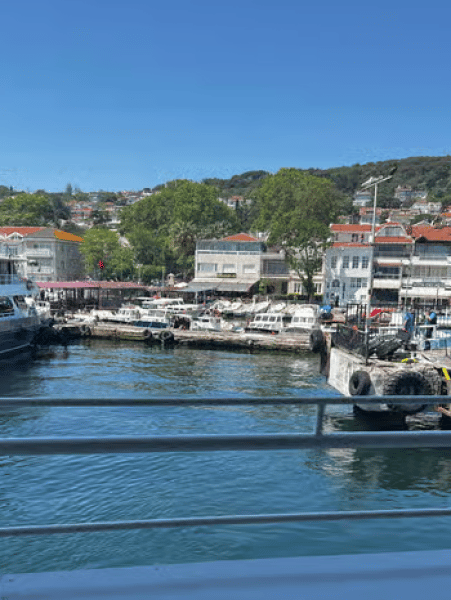 Istanbul: Round-Trip Ferry Tickets to the Princes' Islands | ®ExcursionMania - Image 1