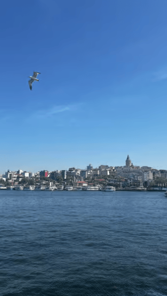 Istanbul: Round-Trip Ferry Tickets to the Princes' Islands | ®ExcursionMania - Image 2