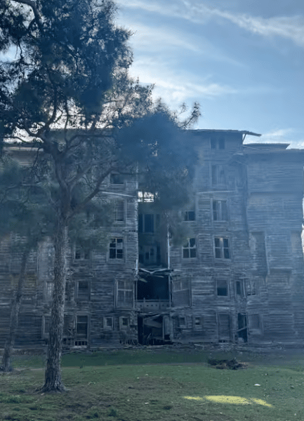 Istanbul: Round-Trip Ferry Tickets to the Princes' Islands | ®ExcursionMania