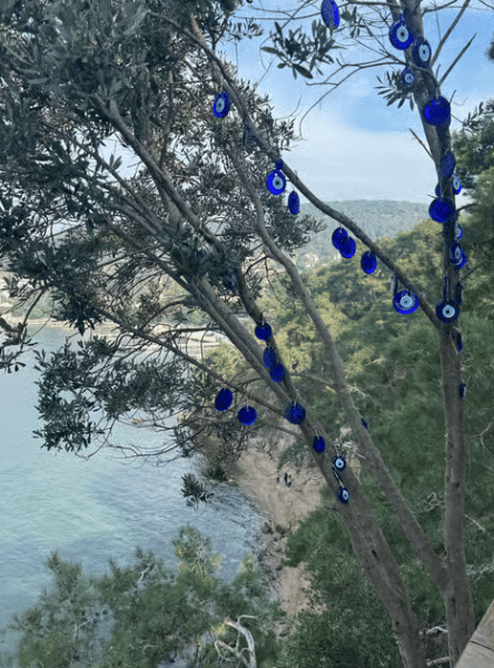 Istanbul: Round-Trip Ferry Tickets to the Princes' Islands | ®ExcursionMania