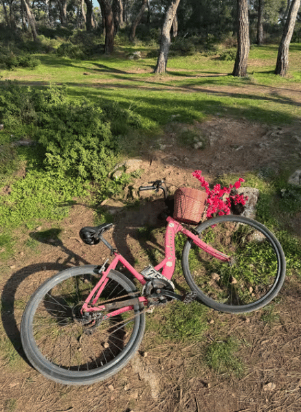 Istanbul: Round-Trip Ferry Tickets to the Princes' Islands | ®ExcursionMania