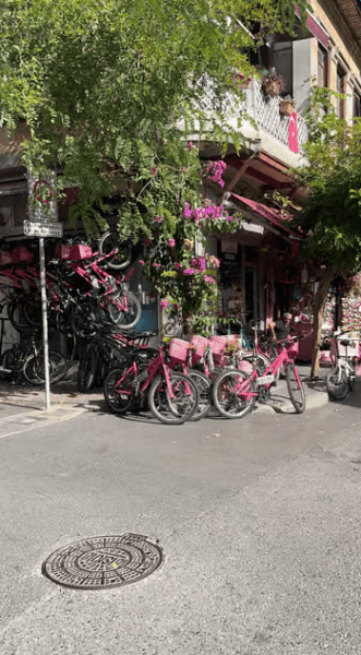 Istanbul: Round-Trip Ferry Tickets to the Princes' Islands | ®ExcursionMania