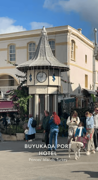 Istanbul: Round-Trip Ferry Tickets to the Princes' Islands | ®ExcursionMania