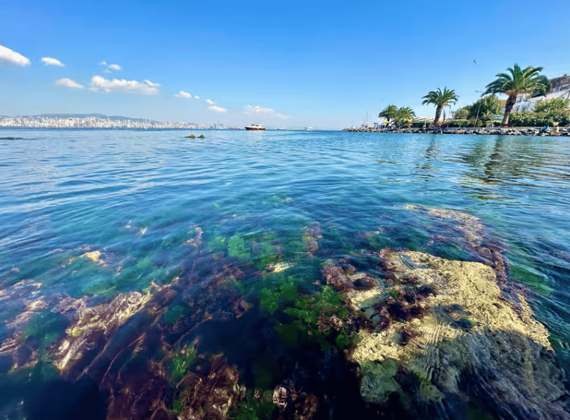 Istanbul: Round-Trip Ferry Tickets to the Princes' Islands | ®ExcursionMania