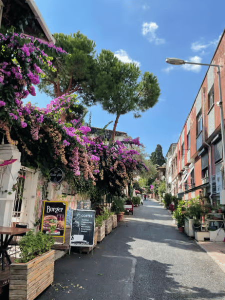 Istanbul: Round-Trip Ferry Tickets to the Princes' Islands | ®ExcursionMania