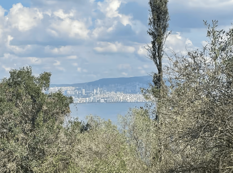 Istanbul: Round-Trip Ferry Tickets to the Princes' Islands | ®ExcursionMania