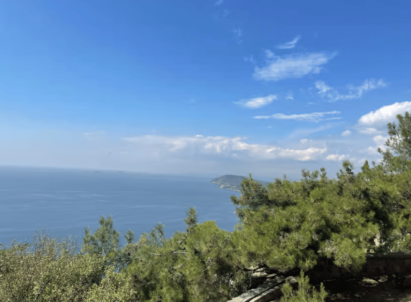 Istanbul: Round-Trip Ferry Tickets to the Princes' Islands | ®ExcursionMania