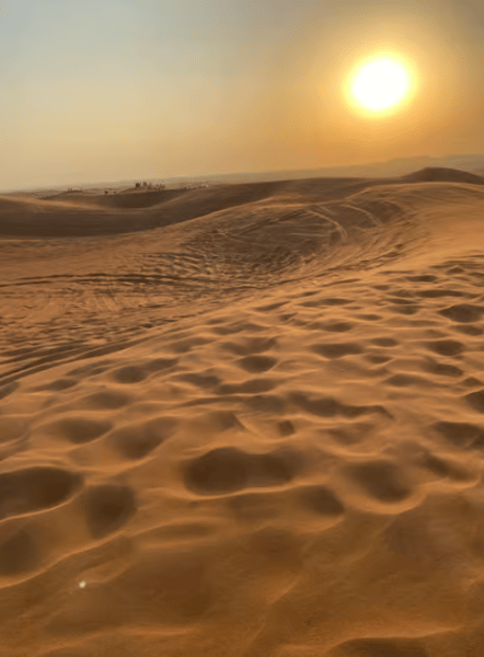 Dubai: Premium Safari, Camel Ride & Al Khayma Camp 3-Buffets | ®ExcursionMania