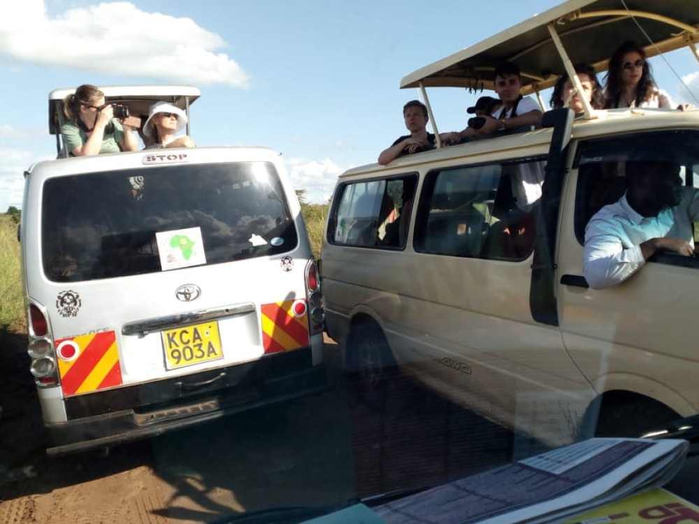 From Mombasa: Tsavo National Park Full-Day Group Trip