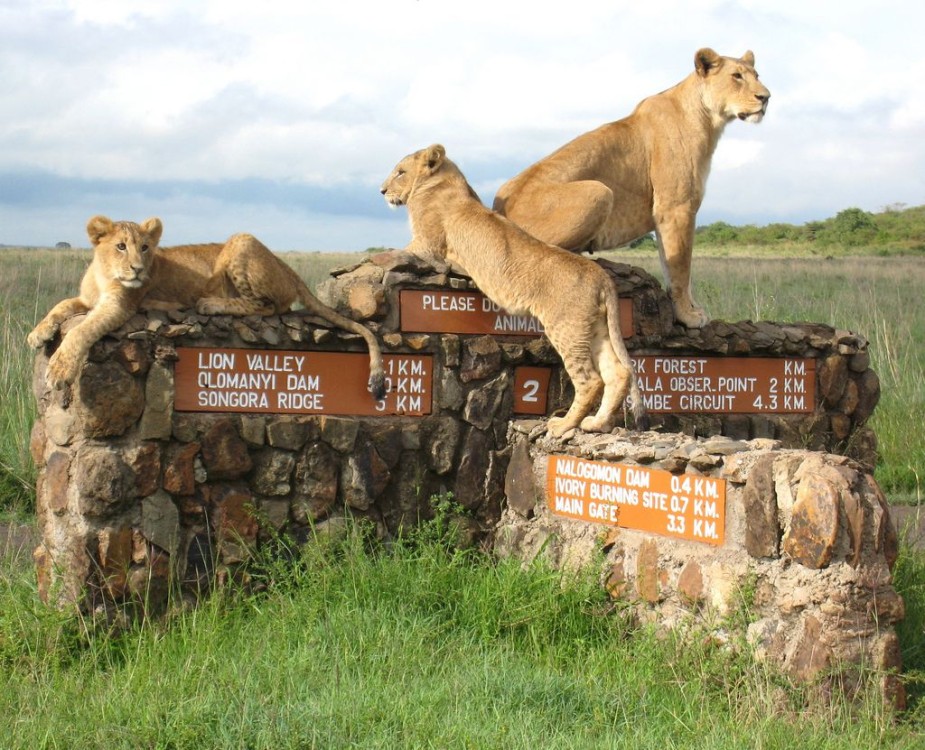 Nairobi National Park Half-Day Tour Free Wi-Fi connection