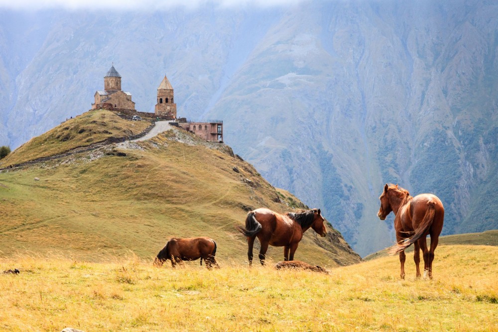 Ride A Horse To Gergeti Trinity Church And Summit A Mountain