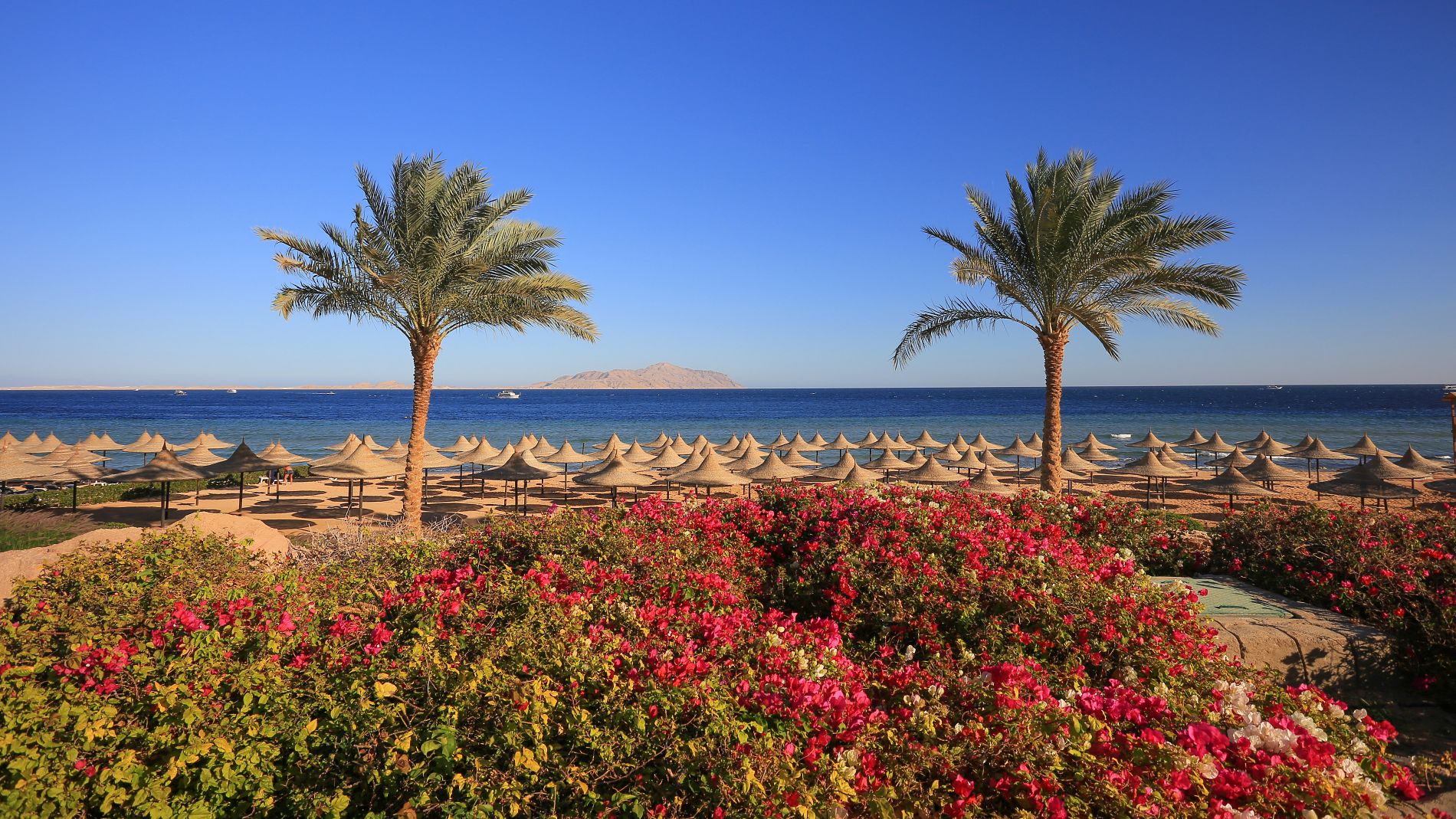 Sharm El-Sheikh