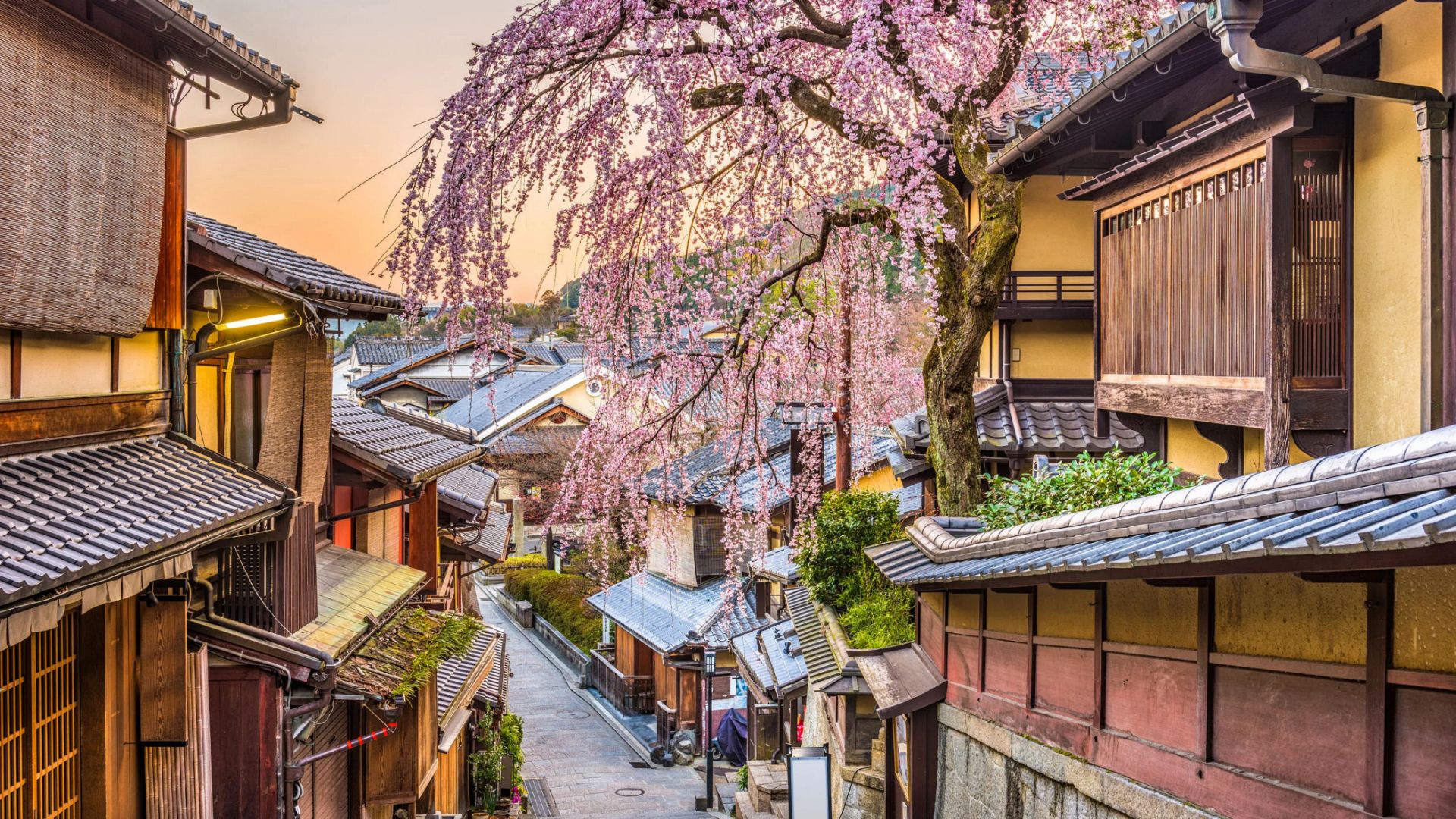 Kyoto
