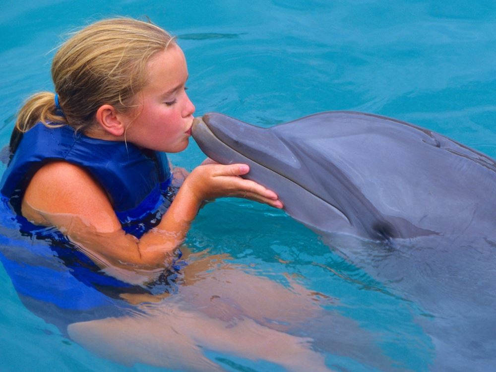 Turunc Treffen mit Delfinen