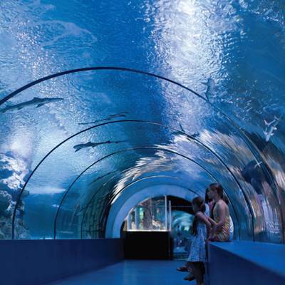 Istanbul Aquariumtour
